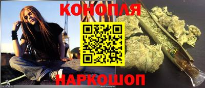 гашик Аргун