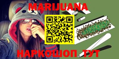 гашик Аргун