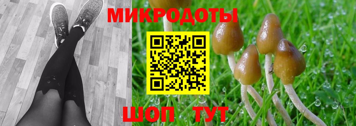 Псилоцибиновые грибы Cubensis  Вход с VPN  Топки 